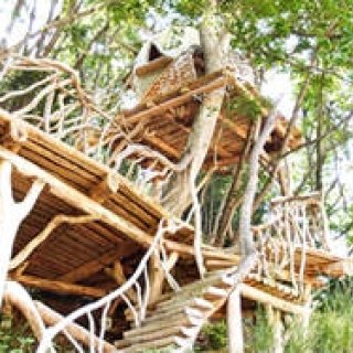 REPORT｜宮城県東松島市でC.W.ニコルらが進める「森の学校」