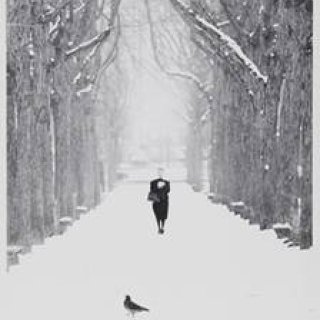 ART｜アートフォトの祭典「ヒルサイド テラス・フォトフェア」