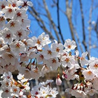 新連載｜気仙沼便り｜9月「新しいふるさとを作る」