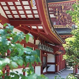 EVENT｜ニコライ・バーグマン、太宰府天満宮にて展示会開催