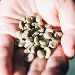 特集｜ロースターは燃えているか？