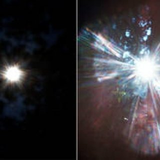 ART｜写真家・ホンマタカシ個展「Seeing Itself－見えないものを見る」開催