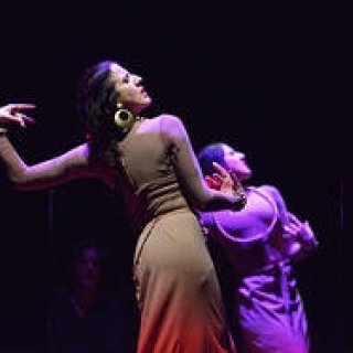 THEATER｜フラメンコ界の女王が舞う新時代のカルメン