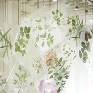 EAT｜目で味わい、舌で楽しむ、新感覚のハーブティー誕生