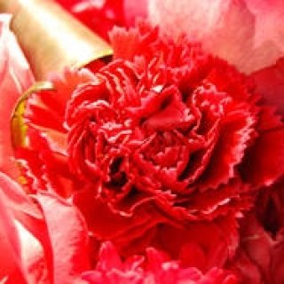 フローラリュクスが提案する「スプリングフラワーデザインと母の日」｜FLORALUXE