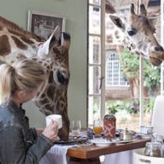 BOOK｜『死ぬまでに行きたい！世界の絶景』から絶景を楽しめるホテル編が登場