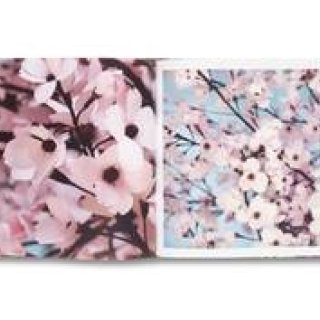 トーマス・デマンドのブックサイニング＆個展を東京で開催｜Taka Ishii Gallery