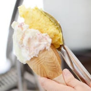 EAT｜約30種類ものジェラートが無料で食べ放題「ジェラート博」