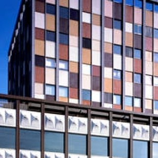 上質の音楽×オーガニックフードと寿司×厳選された日本酒｜MUSIC