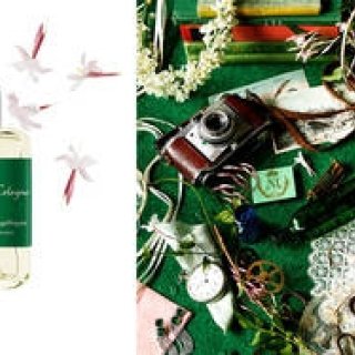 あたらしい香りは、愛し合う2人の再会の物語｜ATELIER COLOGNE