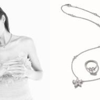 新作ダイヤモンドジュエリーぞくぞく発表｜TIFFANY & Co. 