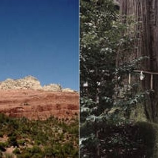 連載・藤原美智子 2015年9月｜パワースポット効果を享受するために大事なこと