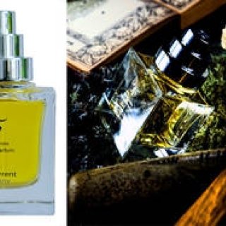 ブランド15周年記念限定フレグランス｜The Different Company