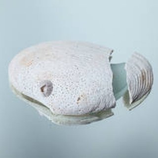 短期連載｜Missing Trace〜ロンドンの記憶と記録のあいだ〜