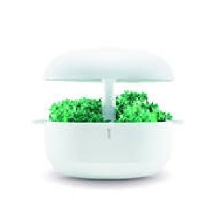 フィンランド生まれのスタイリッシュな水耕栽培器｜Plantui Smart Garden