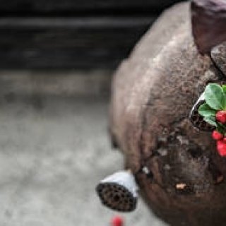 八雲茶寮サロン企画展「拈華(ねんげ)」が開催|ART
