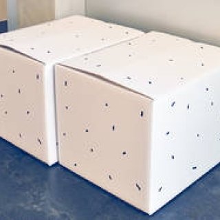 平山昌尚のアートワークが光るダンボール。店舗の引越しにあわせてリリース。｜PAPIER LABO.