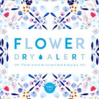 “乾き”を表す新感覚WEBアートコンテンツ「FLOWER DRY ALERT」｜ART