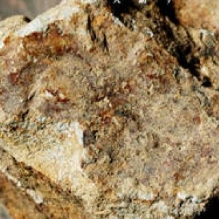 笠間と益子。都内で“理想のクラフト郷”を体感できる一週間｜GO KASAMASHIKO via TOKYO