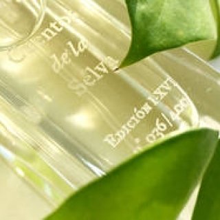 【3/3発売】子どもと大人でシェアする香水「Cuentos de la Selva」発売｜FUEGUIA 1833