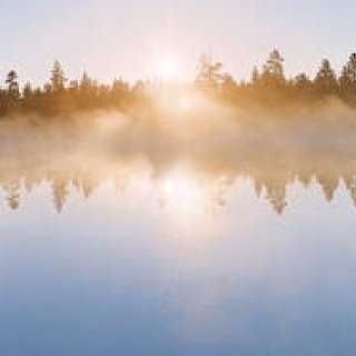 MOIMOIモイモイ　それは、フィンランドの挨拶で「やあ！」｜ART