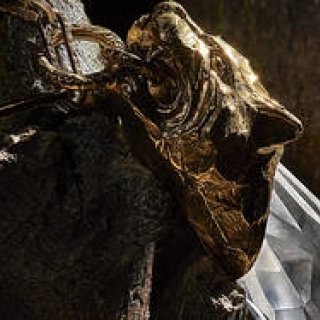 プラダの新作ジュエリーコレクション「プラダ タリスマン」｜PRADA