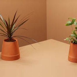 イギリス発。テラコッタ素材で出来た置き型自動給水プランターが上陸｜Boskke