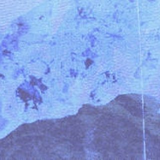 グラフィックアーティスト YOSHIROTTENの展覧会『FUTURE NATURE』|ART