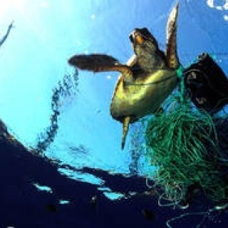 美しく豊かな海を維持するため、NGO団体とパートナーシップを締結|BREITLING
