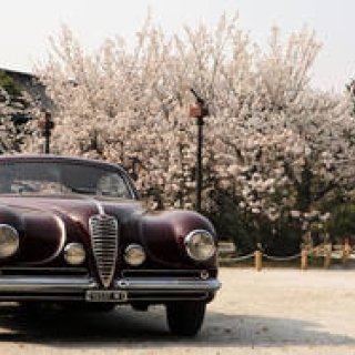 コンコルソ・デレガンツァ・京都 2018｜Concorso d’Eleganza 2018