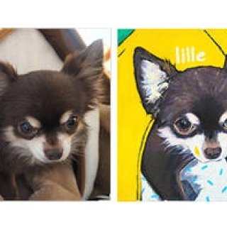 愛するペットの肖像をポップなアートにしてみませんか？｜ART