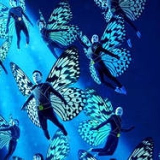 カムカムミニキーナ公演『蝶つがい』｜THEATER