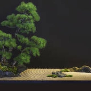  "盆栽"の魅力に触れるイベント「Feel Bonsai」を開催｜Shangri-La Hotel, Tokyo