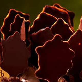 特集｜今年買うべきクリスマスケーキはこれだ！