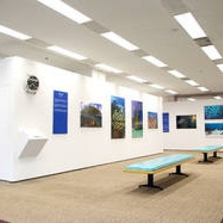 ブランパン│神秘的な海中世界へ誘う写真展『オーシャンズ』を国連で開催｜BLANCPAIN