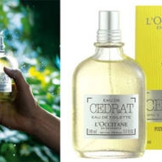 この夏の男を爽やかに変身させる香りは、大人のシトラス“セドラ”｜L’OCCITANE ギャラリー