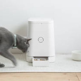 自動給餌器が好評のリン、愛猫家向け新メディア『MILL』スタート｜RINN ギャラリー