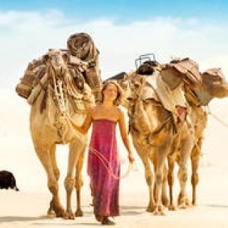 4頭のラクダと愛犬とともにオーストラリアの砂漠を横断した女性の実話を描く『奇跡の2000マイル』｜MOVIE ギャラリー