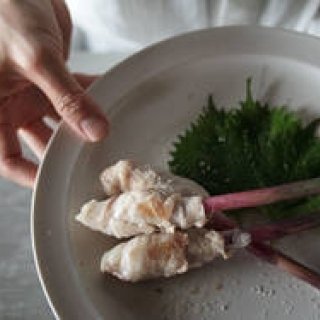 渋谷・富ヶ谷に誕生した完全予約制の小さな食堂｜HITOTEMA ギャラリー