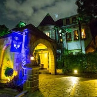 大人女子のための「ラグジュアリー・ハロウィンパーティー」開催｜clé de peau BEAUTÉ ギャラリー