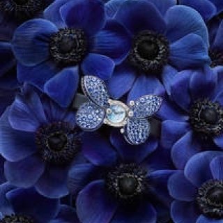 バーゼルワールド2016発表 崇高なる新作コレクション｜GRAFF ギャラリー