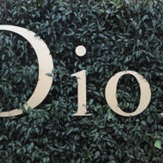 ディオール 2017年春夏オートクチュールコレクション｜Dior