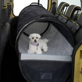 ペットとドライブを楽しむためのカングー特別仕様車｜Renault ギャラリー