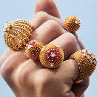「CACTUS DE CARTIER」それは力強く大胆な、棘のある花｜CARTIER ギャラリー