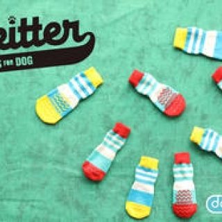 犬の靴・靴下専門店が開発した犬用靴下「Skitter」｜docdog ギャラリー