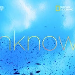 水中写真家が見た未知なる海の美しさ｜BOOK ギャラリー