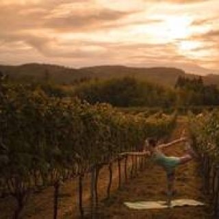 通は知っている！　こだわりの八ヶ岳シャルドネを堪能する「シャルドネステイ」｜TRAVEL　ギャラリー