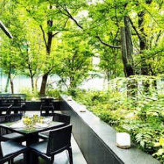 大手町の緑に包まれた「ザ・カフェ by アマン」にて、朝食サービスがスタート｜AMAN TOKYO　ギャラリー