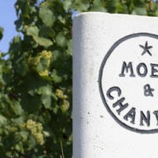 モエ・エ・シャンドン モエ アンペリアル150年アニバーサリー（1）｜ MOËT & CHANDON ギャラリー