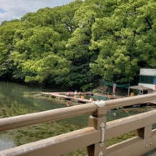 連載エッセイ｜#ijichimanのぼやき 第6回「かつてバブル期を彩った華やかな街・赤坂」 ギャラリー